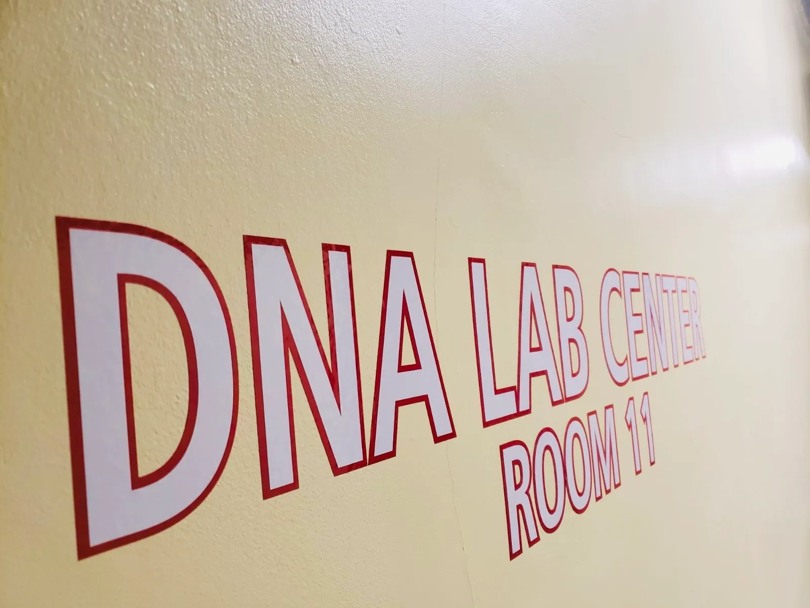 DNA Lab Center cut vinyl wall lettering for NYC office